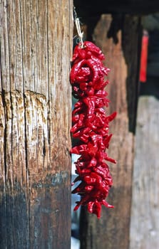 Dry red peppers on house in New Mexico