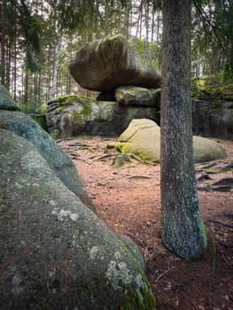 Granite stone in forest, Blockheide, Austria