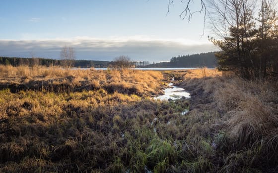 Autumn hiking and discovering the marshland of Heidenreichsteiner Moor Nature Park, Lower Austria, Austria