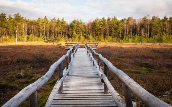 Autumn hiking and discovering the marshland of Heidenreichsteiner Moor Nature Park, Lower Austria, Austria