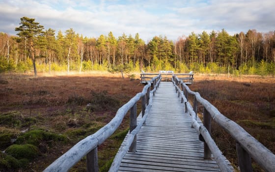 Autumn hiking and discovering the marshland of Heidenreichsteiner Moor Nature Park, Lower Austria, Austria