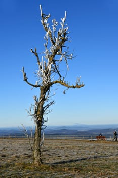 The Wasserkuppe, mountain in the Rhön