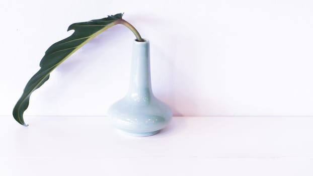 Green leaf in an simple white vase over white isolate background