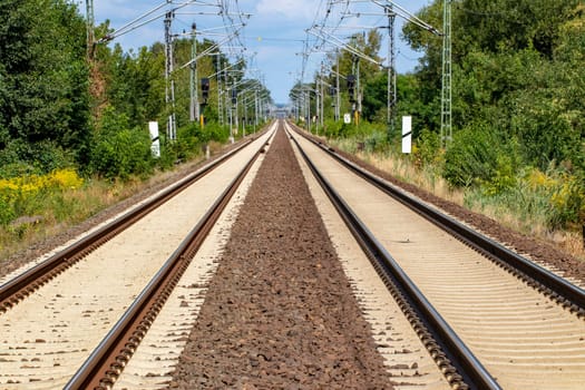 Transit Railroad tracks going through a scenic forested countryside with a blue sky and fluffy clouds above.