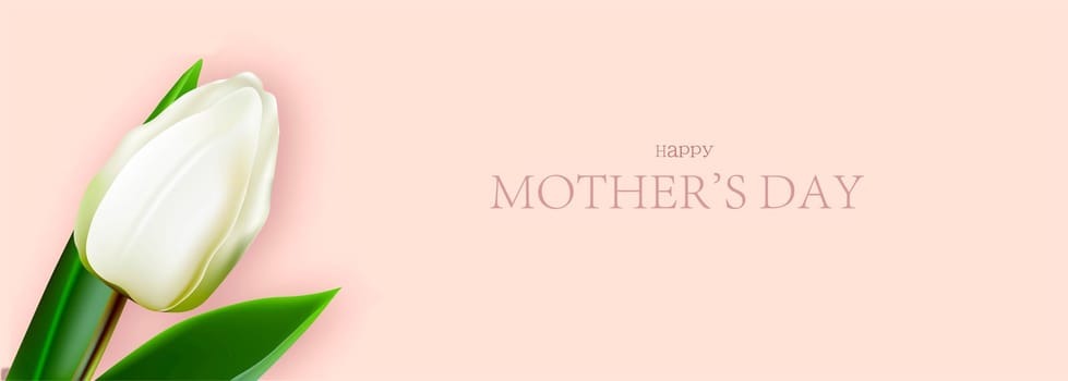 Happy Mother's Day flyer. An elegant gift for mom. white tulip. spring mood.