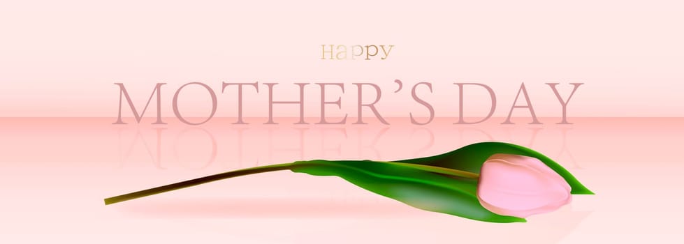 Happy mother's day elegant banner pink. Text and tulips in the background frame for Mother's Day. Best mom ever greeting cards
