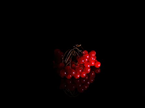 A branch with red viburnum berries in the dark on a black background. Herbal treatment. Herbal tea. A branch with viburnum berries. Alternative treatment. Vitamin collection. Black background.