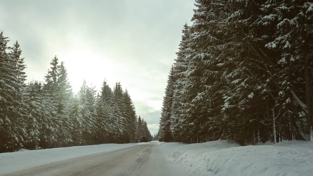 Winter forest road covered with ice and snow,  sun backlight - dangerous driving conditions.