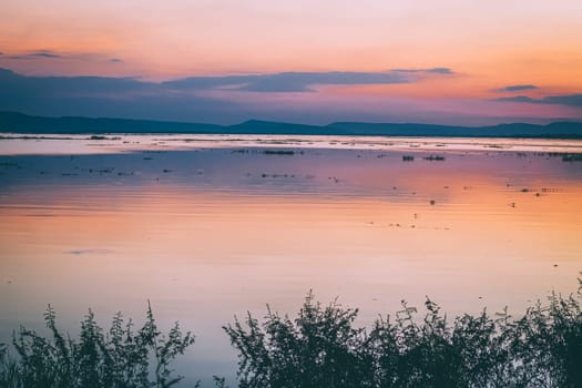 long exposure vanilla colorful sky and  lake reflection with mountains in the background. blurred wild grass blowing in the wind on foreground