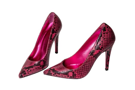 Fashionable female high heels. A pair of purple high-heeled female shoes isolated on a white background. Shoes from snakeskin imitation.