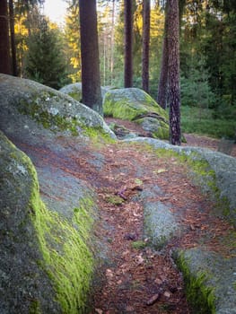 nature reserve blockheide near heidenreichstein, lower austria