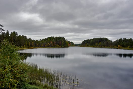 Forest river in autumn colors in the forest. High quality photo