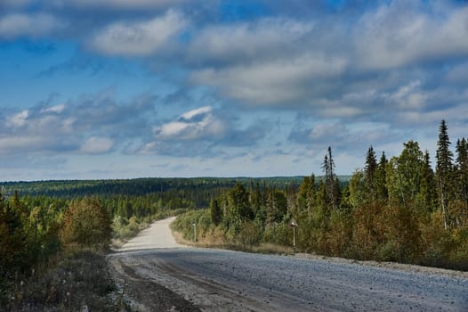 Rural gravel road in the forest. High quality photo