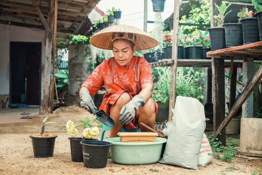 Gardener Thai woman in gloves with straw hat is planting flowers in the garden. Small business concept. Colorful potted flowers Euforbia Spurges bring lucky energy at your home.