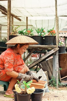 Asian female gardener is preparing soil for planting flowers into the pot in outdoor garden. Small business. Hobby and leisure concept.