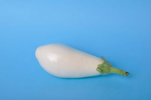 White eggplant on a blue background