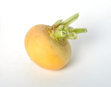 Young turnips on a white background