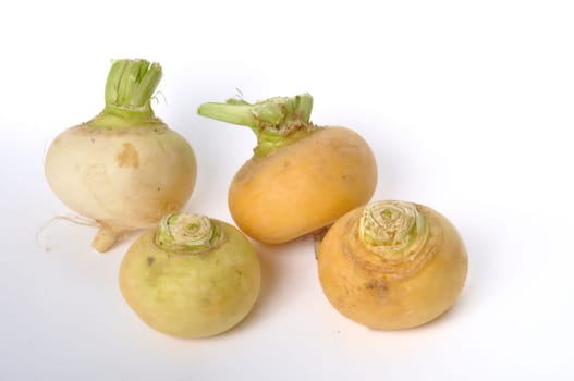 Young turnips on a white background