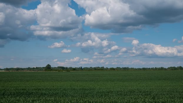A green vast valley and a cloudy sky during dusk