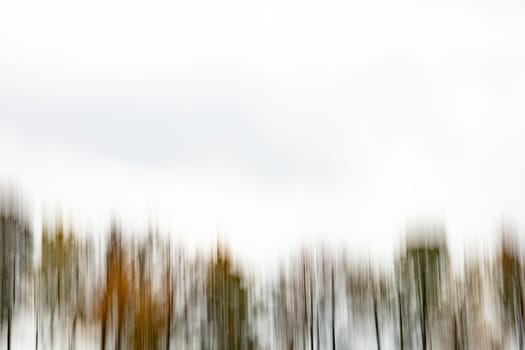 Motion blurred foliage and trees in autumn