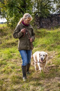 Dog trainer trains a golden retriever on a meadow in autumn.