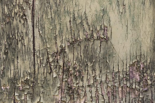 Weathered green wooden surface on the house facade using for background