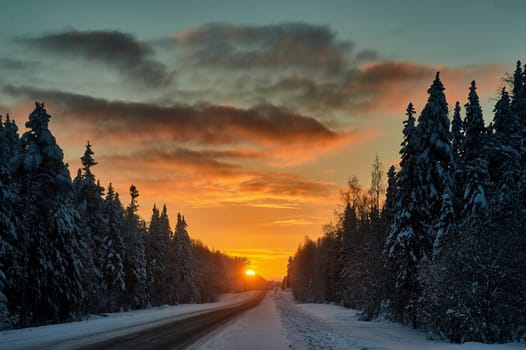 Asphalt road in the forest in winter at sunset. High quality photo