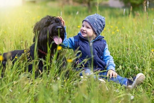 Cute little boy is sitting in the grass together with a Big Black Schnauzer Dog. The boy strokes the dog and looks at him.