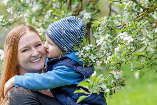 Cute young boy is kissing her young  laughing motherunder a flowering tree.