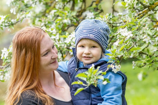 Young mother is holding her little son in her arms under a flowering tree.