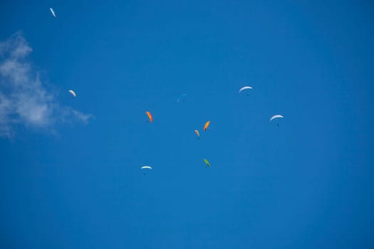 Sportsmen paragliding high in the blue clear sky.
