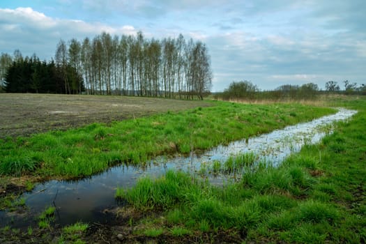 Ditch with water and trees beyond the field, Zarzecze, Lubelskie, Poland