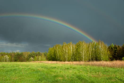 Rainbow and dark cloud over the forest, Czulczyce, Lubelskie, Poland