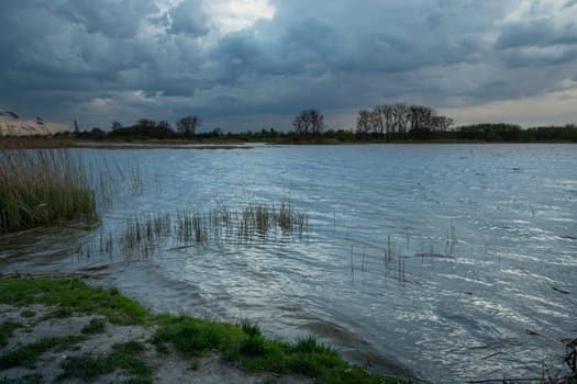 Shore of a lake with reeds and cloudy sky, Stankow, Lubelskie, Poland