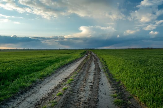 Walking on a dirt road through green fields, Czulczyce, Poland