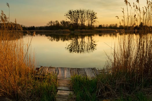 Wooden pier in the lake and reflection of trees in the water, Stankow, Lubelskie, Poland
