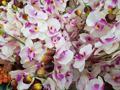 Beautiful flowers background. Abstract background of flowers