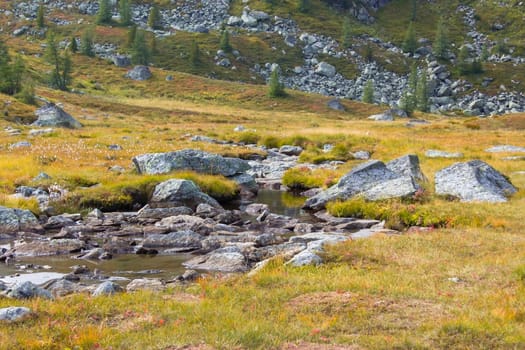 A clear mountain stream on the green meadows in the Austrian Alps, Steiermark, Austria