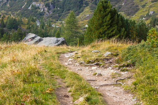 Landscape in Austian Alps -  Steiermark, Austria