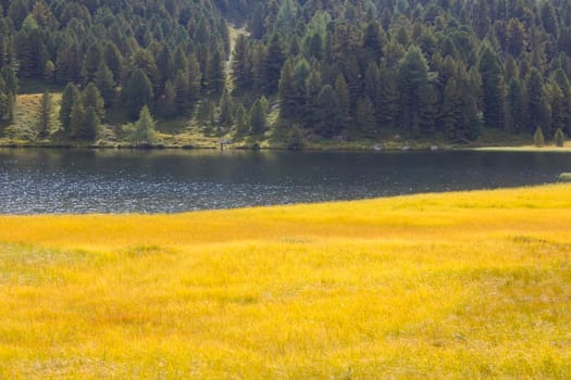 Landscape in Austian Alps, Upper Austria, Austria