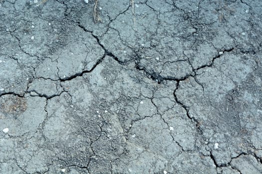 Summer dry and cracked gray earth, top view