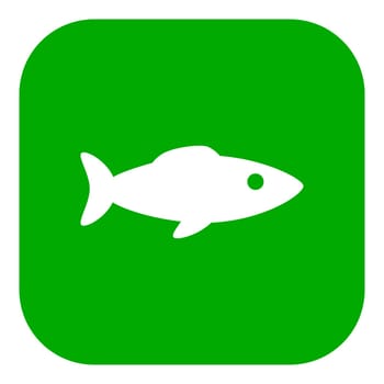 Fish and app icon