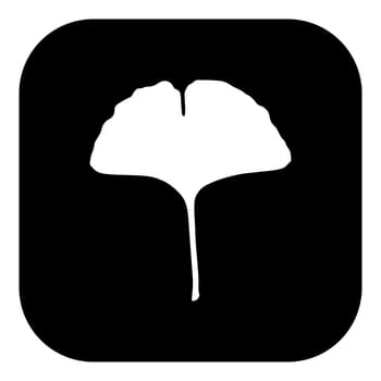 Ginkgo leaf and app icon