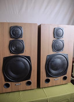 Large Soviet speakers Orbita 35as-016. Vintage acoustics.
