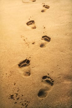 Footprints in the sand at sunset