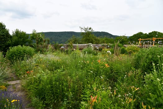 Lovingly tended garden in summer