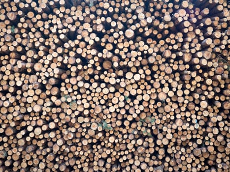 Wooden stacks