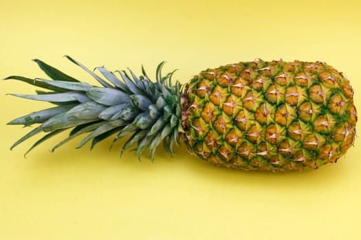 Whole pineapple fruit with top leaves placed on it’s left side on a paper yellow background close-up. One entire complete uncut tropical fruit pineapple resting on a paper yellow background up close.