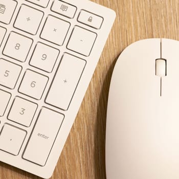 Keyboard from a computer and a computer mouse on a desk in the office