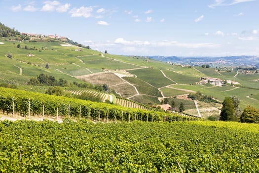 Panoramic countryside in Piedmont region, Italy. Scenic vineyard hill close to Barolo.